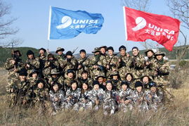 大連聯(lián)合國際船舶代理 國際船舶管理業(yè)務的卓越引領(lǐng)者